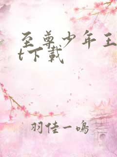 至尊少年王txt下载