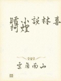 赌小说林喜朝和柯煜