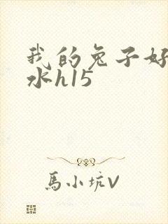 我的兔子好多软水h15