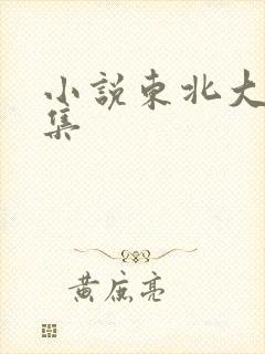 小说东北大炕全集