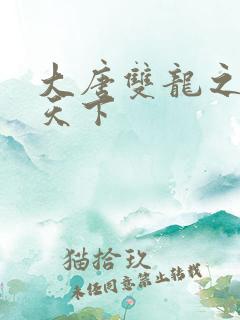 大唐双龙之无敌天下