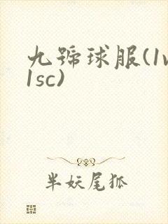 九号球服(1v1sc)