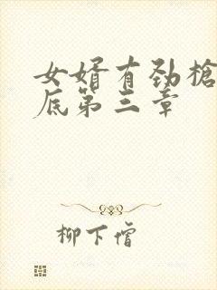 女婿有劲枪枪到底第三章