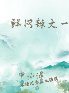鲜网辣文一对一