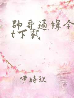 帅哥通缉令txt下载