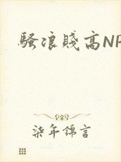 骚浪贱高NPH