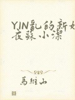 YIN乱的新婚夜苏小洁