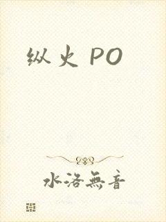 纵火 PO