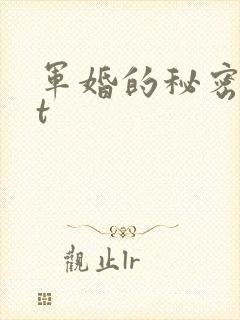 军婚的秘密txt