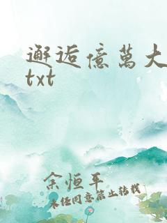 邂逅亿万大人物txt