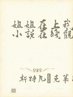 姐姐在上我在下小说在线观看