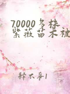 70000多株紫薇苗木被强毁