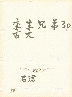 孪生兄弟3ph古文