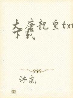 大唐龙皇txt下载