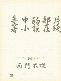 梦中的那片海原著小说在线阅读