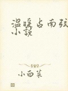 温暖占南弦尹衿小说