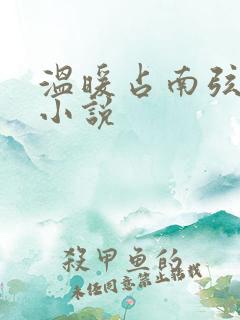 温暖占南弦尹衿小说