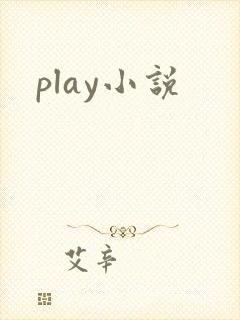 play小说