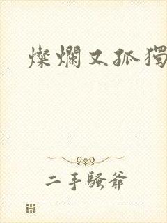 灿烂又孤独的神