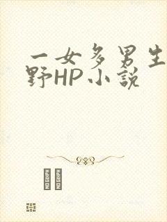 一女多男生活狂野HP小说