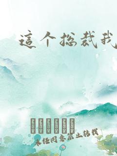 这个总裁我要了