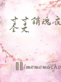 寸寸销魂夜春光全文