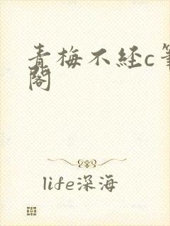 青梅不经c笔趣阁
