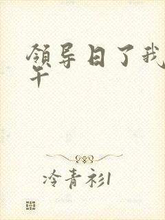 领导日了我一下午