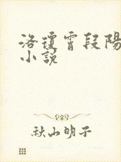 洛琼霄段阳澍的小说