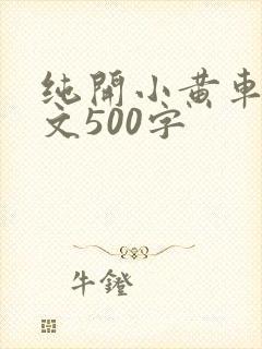 纯开小黄车小短文500字