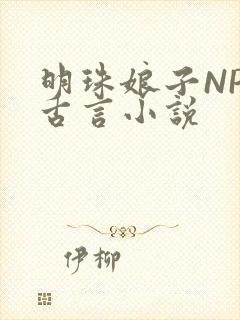 明珠娘子NPC古言小说