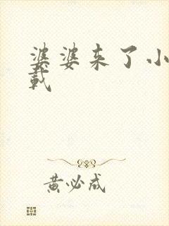 婆婆来了小说下载