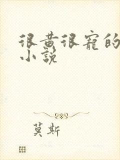 很黄很宠的总裁小说