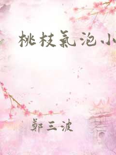 桃枝气泡小说