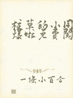 校草的小同桌撩爆啦免费阅读