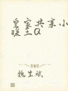 皇家共享小公主暖玉Q