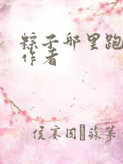 粽子哪里跑小说作者