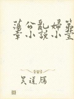 荡公乱妇第51章小说小莹