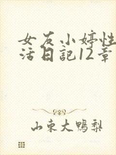 女友小婷性荡生活日记12章