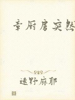 章厨房突然挺入