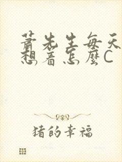 萧先生每天都在想着怎么C