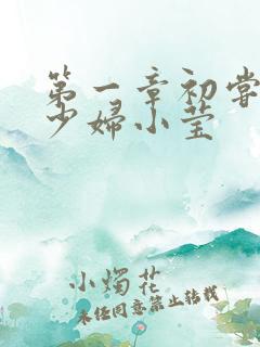 第一章初尝禁果少妇小莹