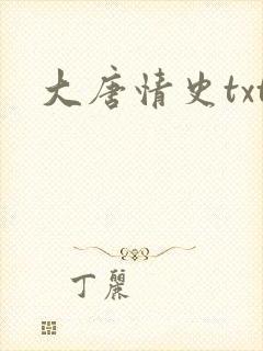 大唐情史txt