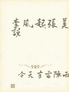 李风起张美丽小说