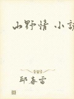 山野情 小说