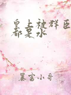 皇上被群臣干的都是水