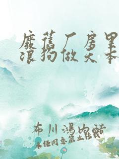 废旧厂房里和流浪狗做天本