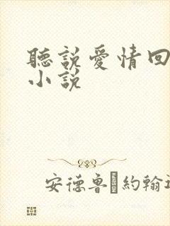 听说爱情回来过小说