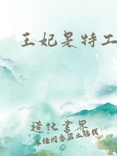 王妃是特工