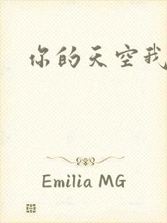 你的天空我的城